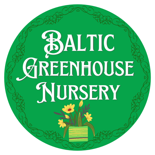 About Us - Baltic Greenhouse Nursery